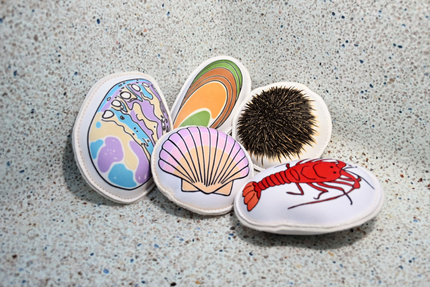 new zealand dive toy set paua kutai kina koura tipa